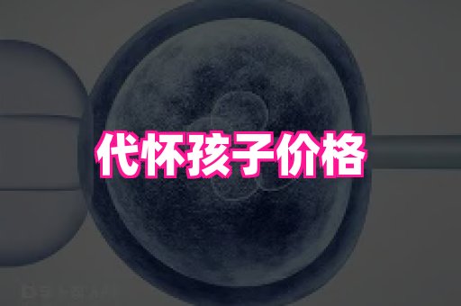东莞助孕网站 4